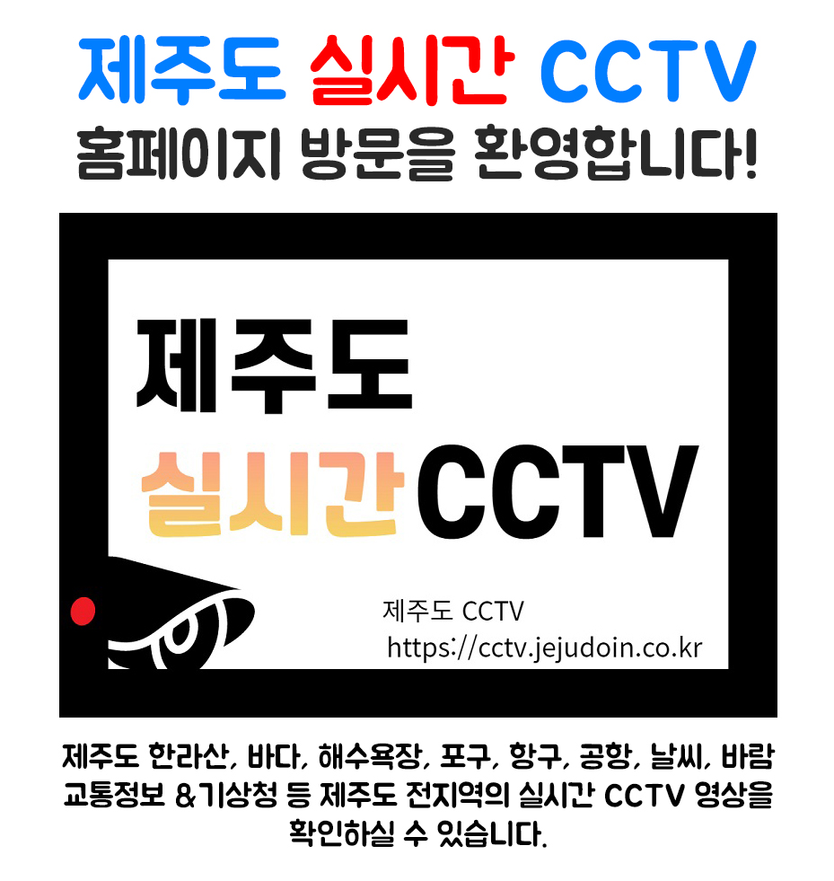 제주도CCTV홈페이지소개.jpg