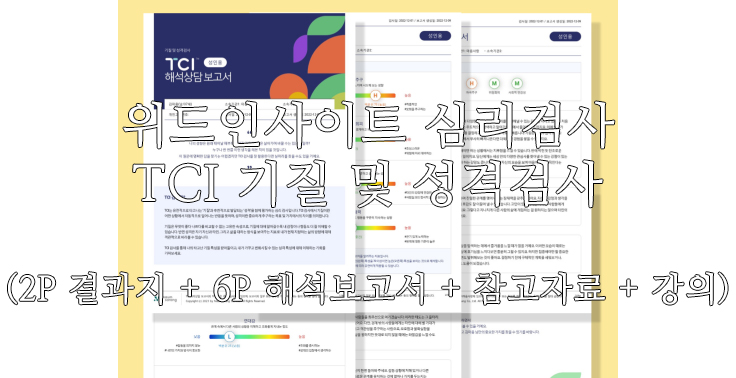 [위드인사이트 심리검사] TCI 기질 및 성격검사 (2P 결과지 + 6P 해석보고서 + 참고자료 + 강의)