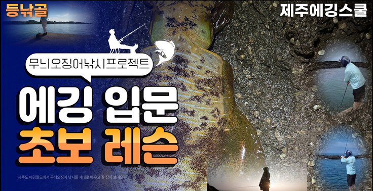 [제주에깅스쿨] 제주도 무늬오징어 에깅낚시 에깅입문 초보자를 위한 에깅레슨(강습) 제주에깅스쿨 필드레슨 수강권