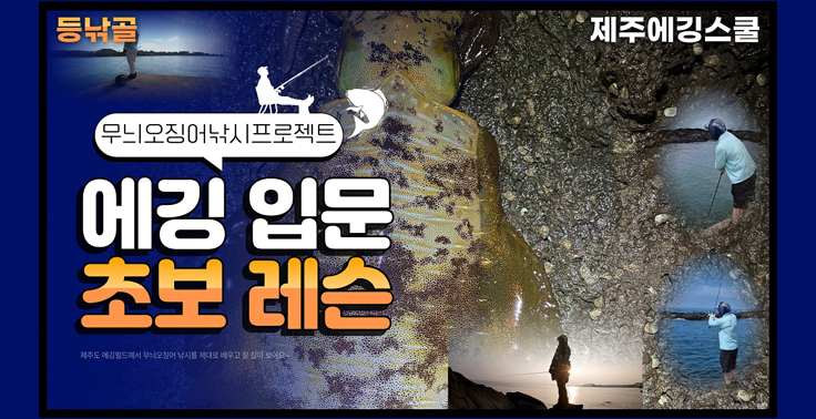 [제주에깅스쿨] 무늬오징어 에깅 낚시 필드레슨 강습상품(샤크리액션 및 에깅이론)