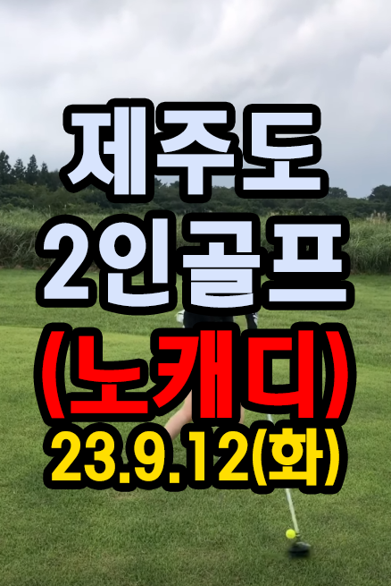 에코랜드CC-노캐디-2인플레이-필드레슨-드라이버티샷.png